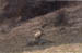 200303p2f04